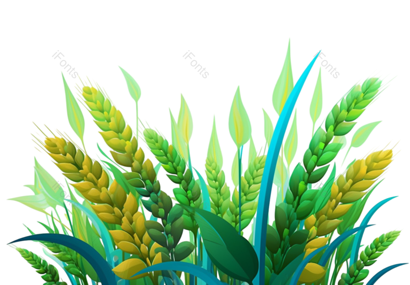 叶子图片,芒种元素,元素PNG,卡通免抠素材
